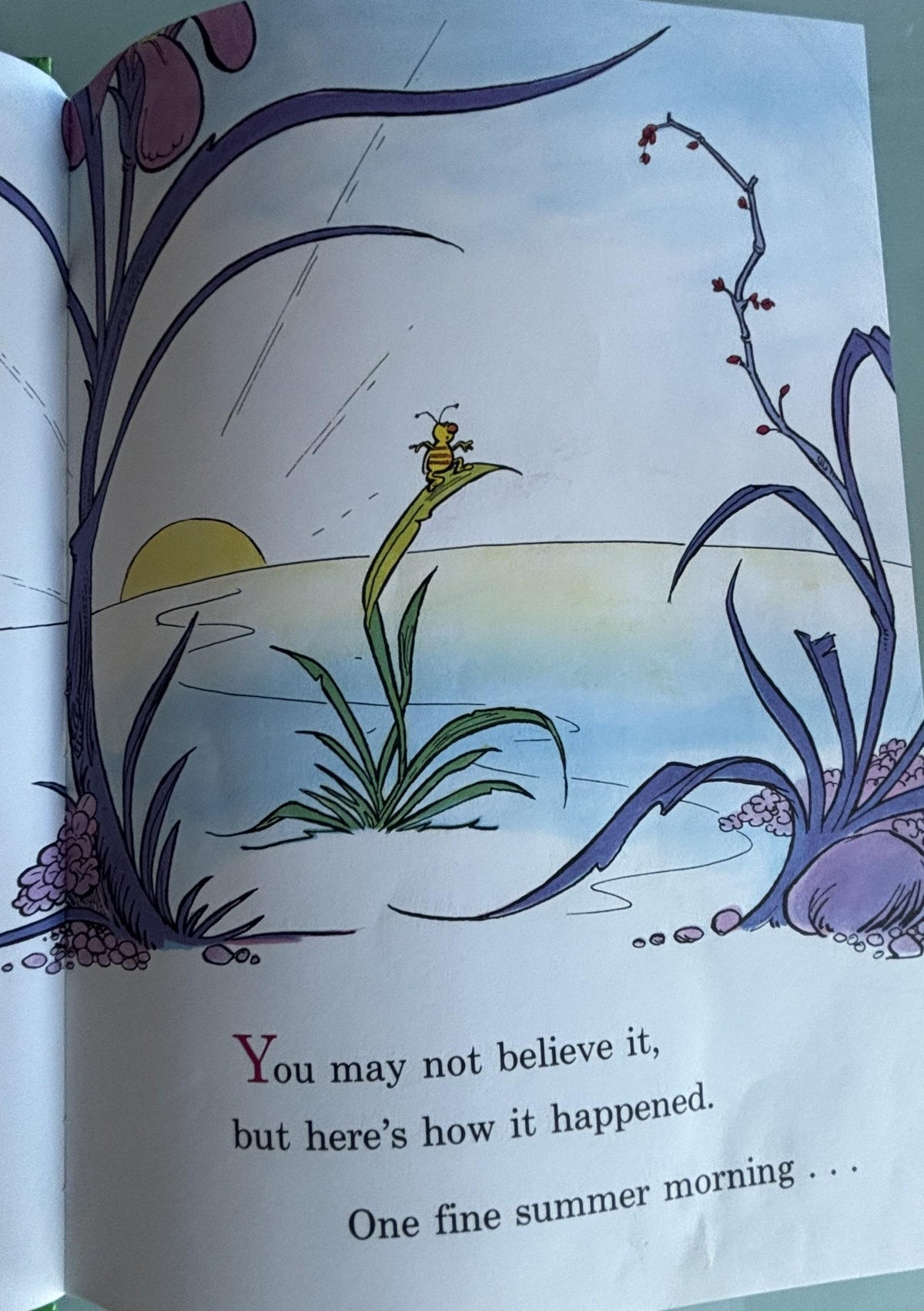 Because a Little Bug went Ka-CHOO!:  Rosetta Stone  **  First Edition  **  1975