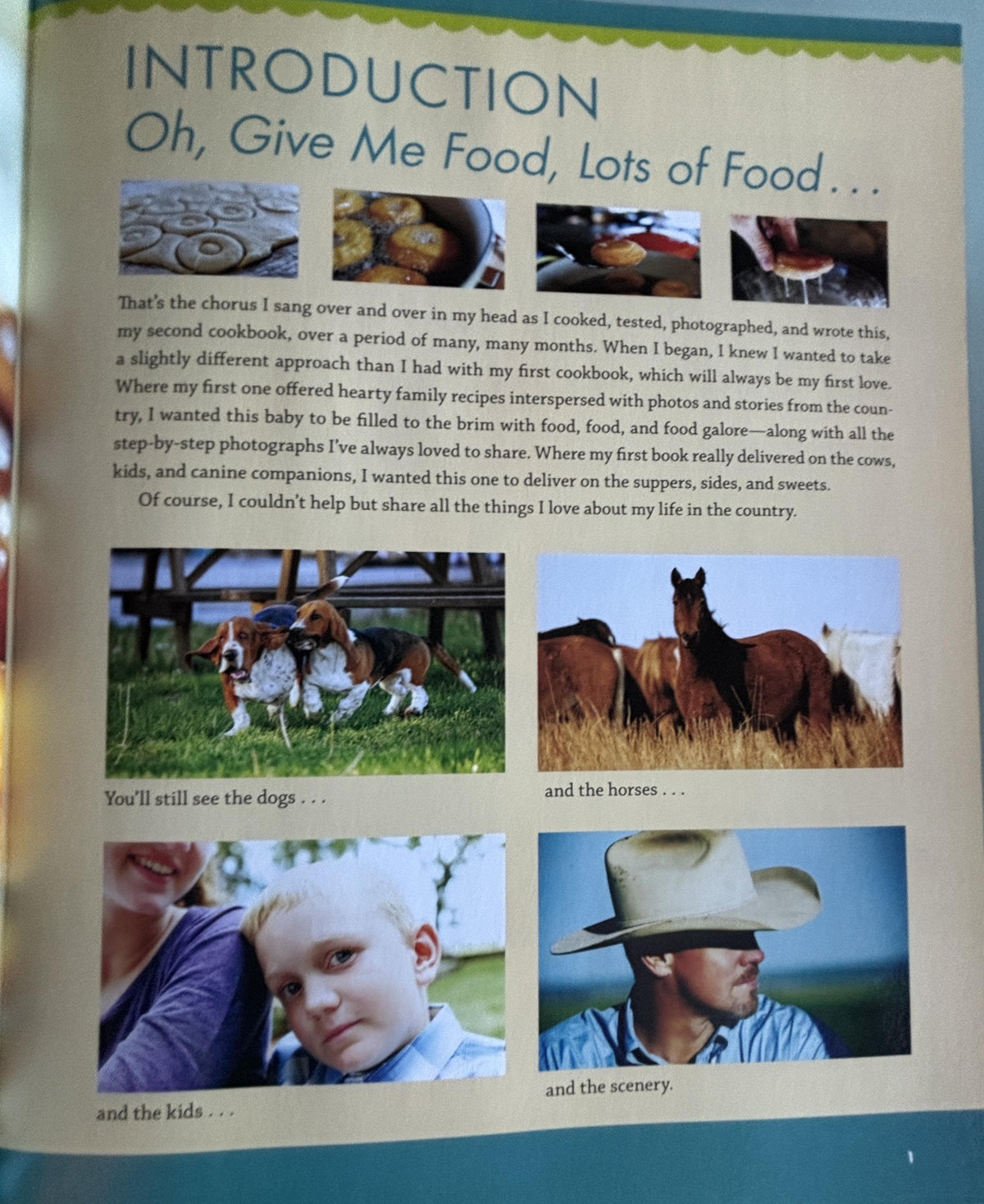 The Pioneer Woman Cooks - Food From My Frontier:  Ree Drummond  **  First Edition  **