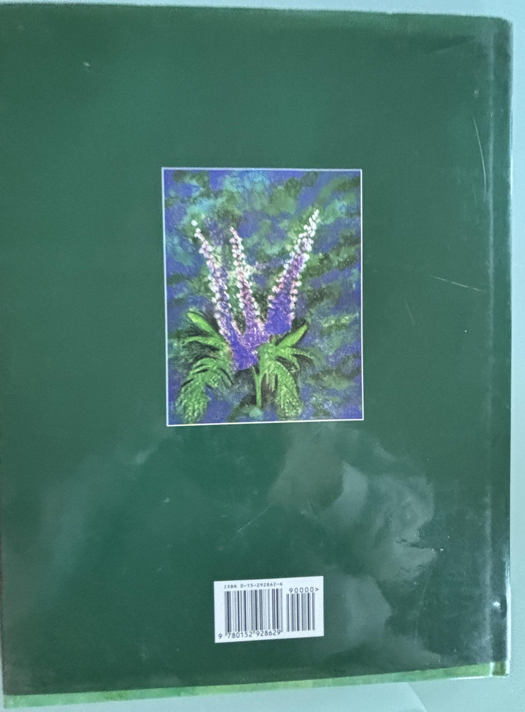 PUNGA The Goddess of Ugly:  Deborah N. Lattimore  **  First Edition  **