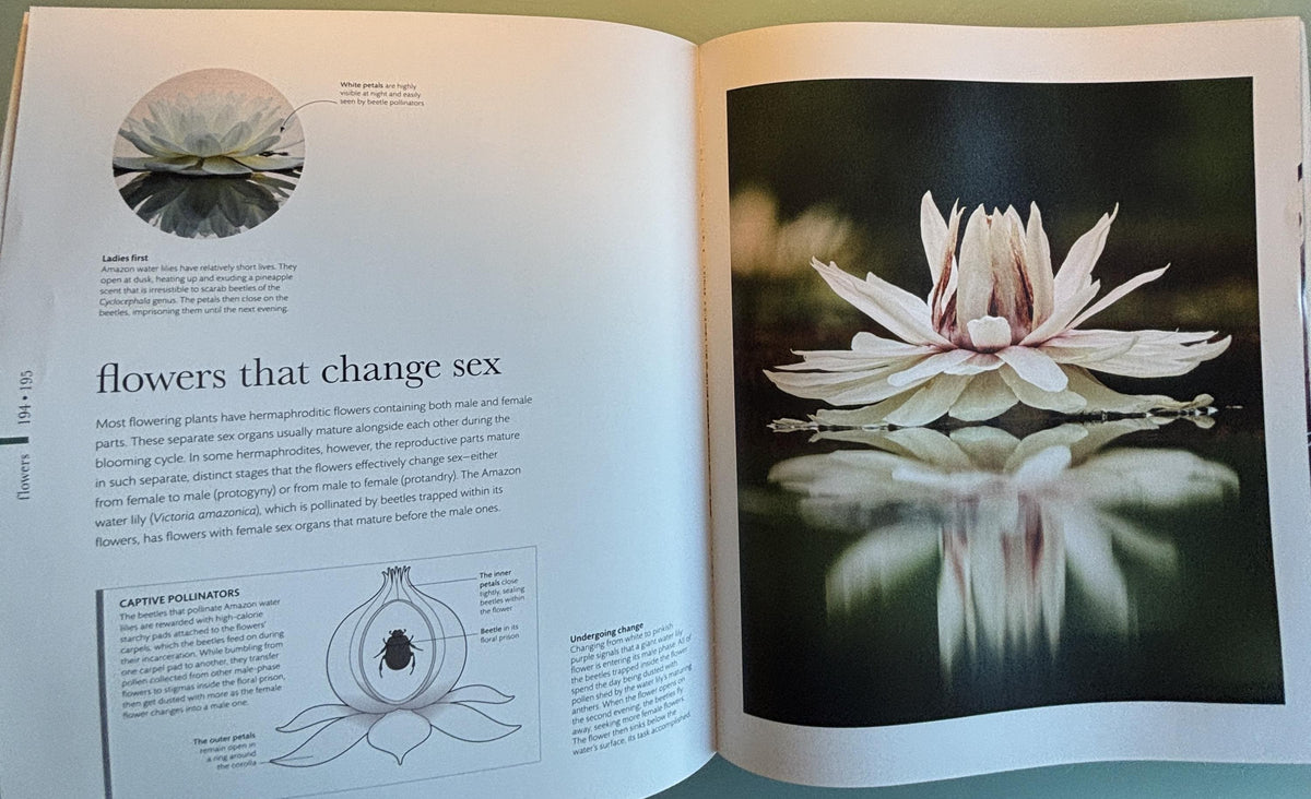 Science of Plants - Inside Their Secret World:  Dorling Kindersley Ltd. (COR) **  First Edition  **