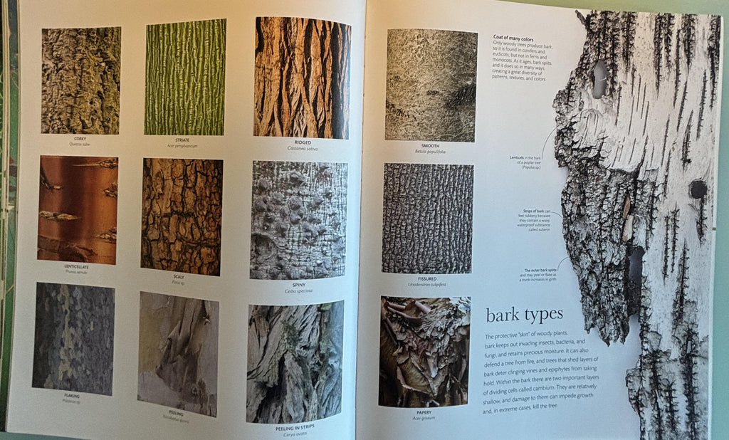 Science of Plants - Inside Their Secret World:  Dorling Kindersley Ltd. (COR) **  First Edition  **