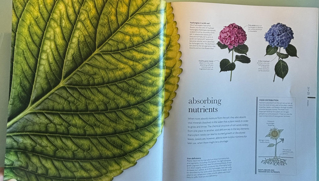 Science of Plants - Inside Their Secret World:  Dorling Kindersley Ltd. (COR) **  First Edition  **