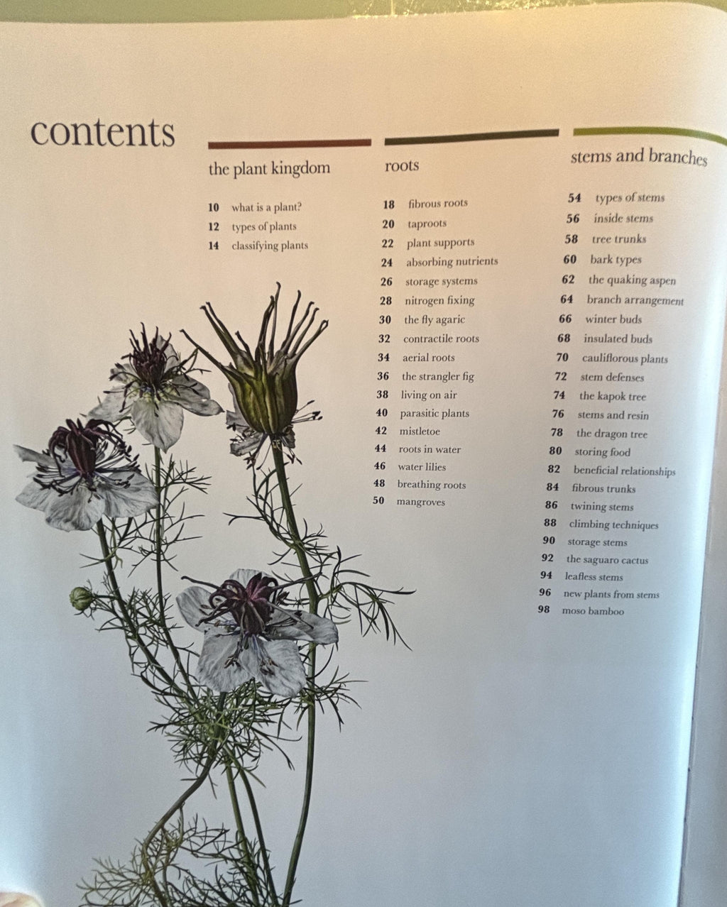 Science of Plants - Inside Their Secret World:  Dorling Kindersley Ltd. (COR) **  First Edition  **