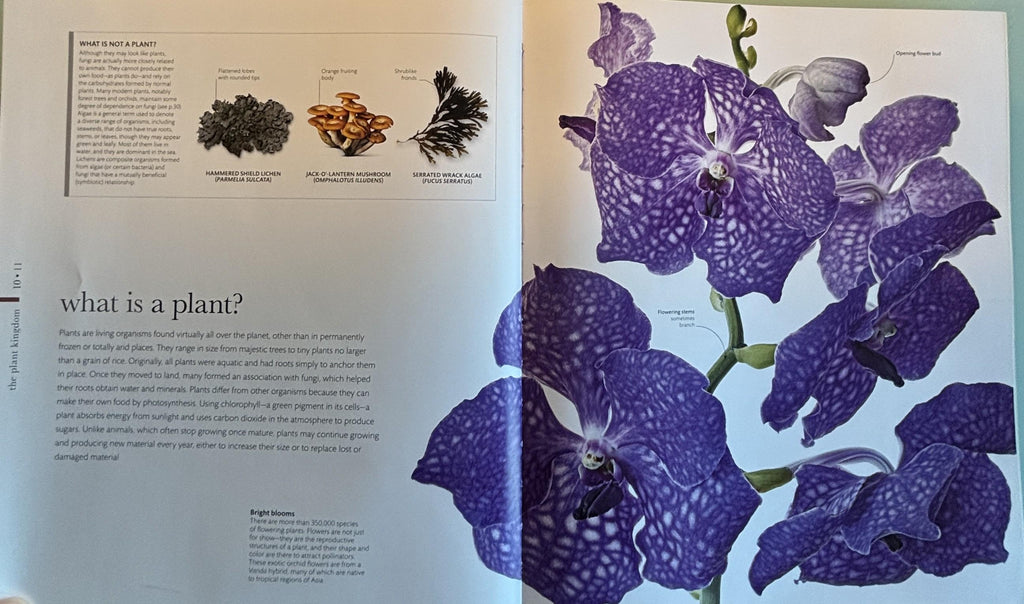 Science of Plants - Inside Their Secret World:  Dorling Kindersley Ltd. (COR) **  First Edition  **