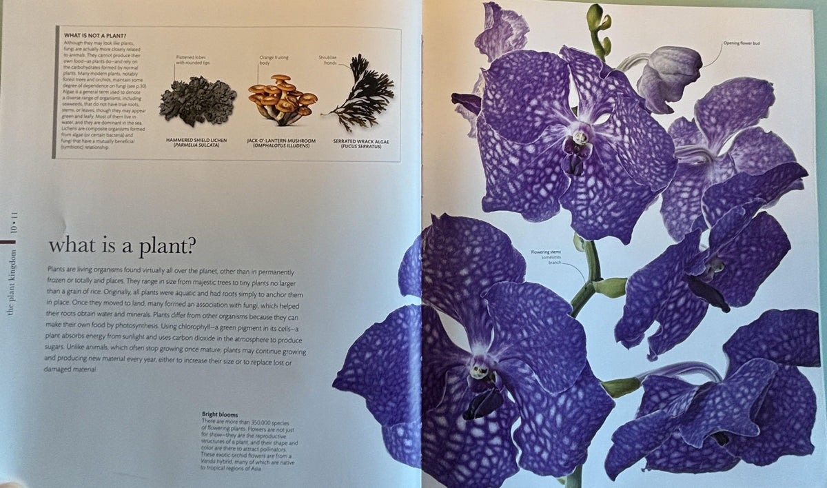Science of Plants - Inside Their Secret World:  Dorling Kindersley Ltd. (COR) **  First Edition  **