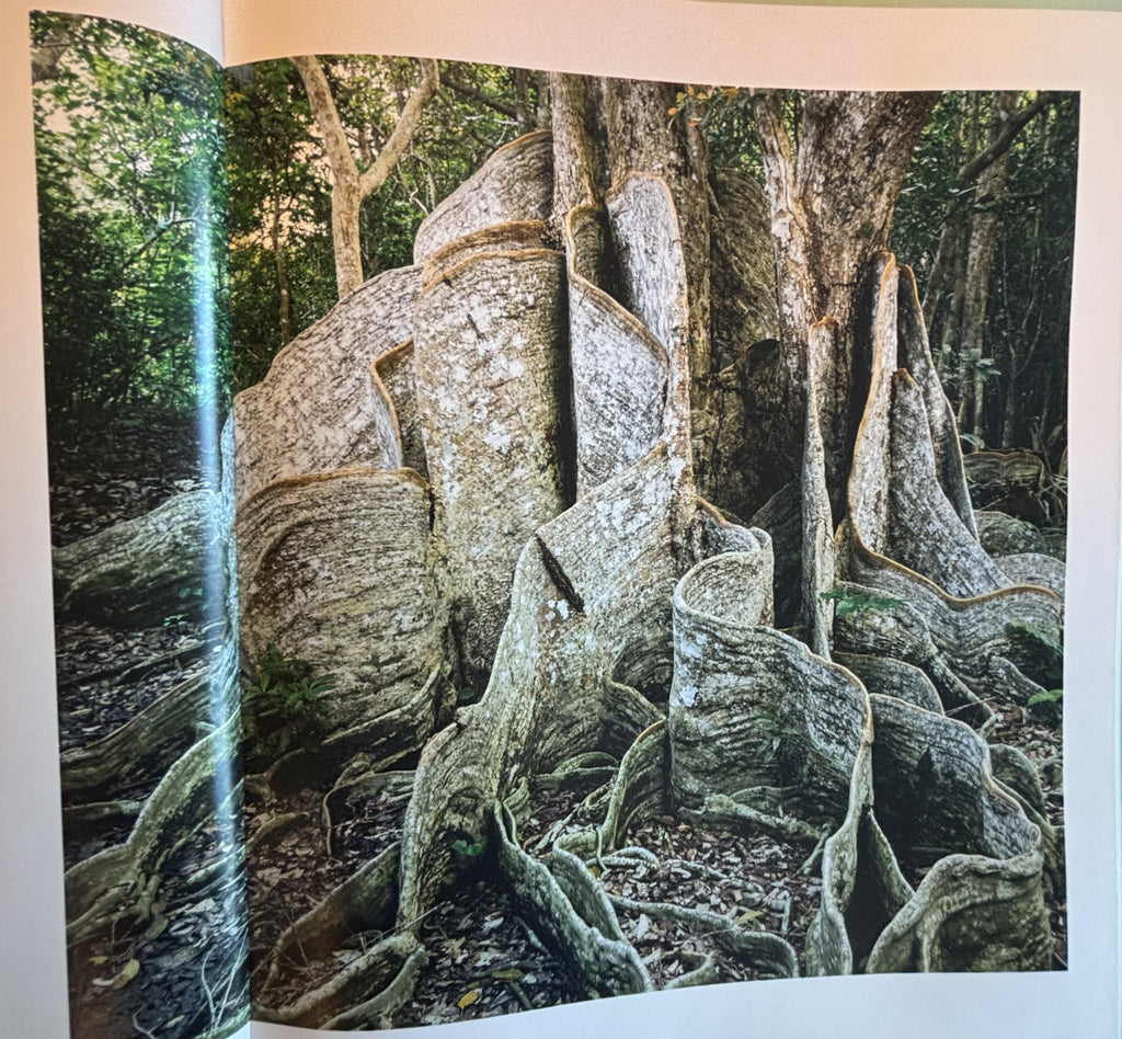 Science of Plants - Inside Their Secret World:  Dorling Kindersley Ltd. (COR) **  First Edition  **