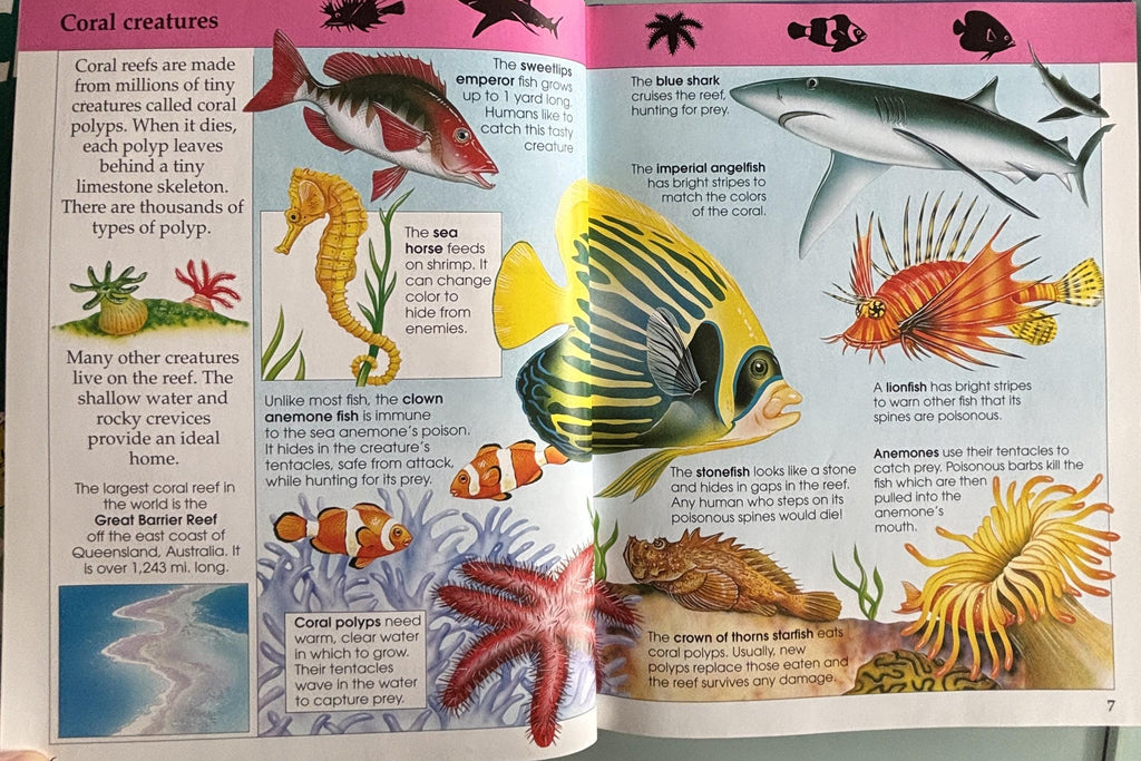 Amazing Animal Facts:  Rupert Matthews