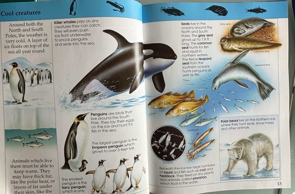 Amazing Animal Facts:  Rupert Matthews