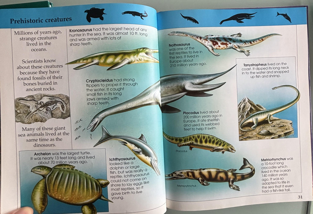 Amazing Animal Facts:  Rupert Matthews