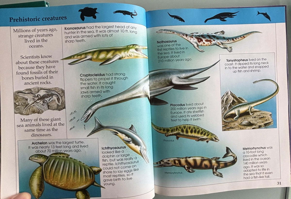 Amazing Animal Facts:  Rupert Matthews