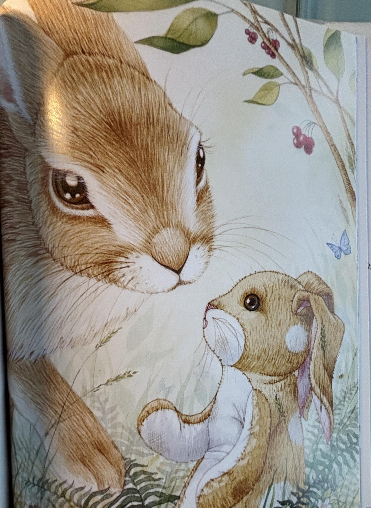 The Velveteen Rabbit:  Margery Williams  2012