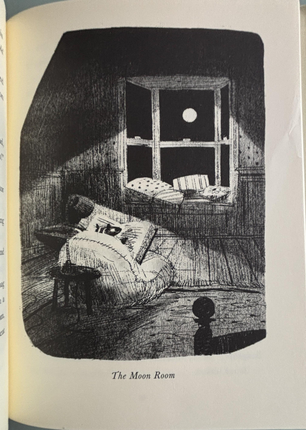 Skunk and Badger:  Amy Timberlake  **  First Edition  **