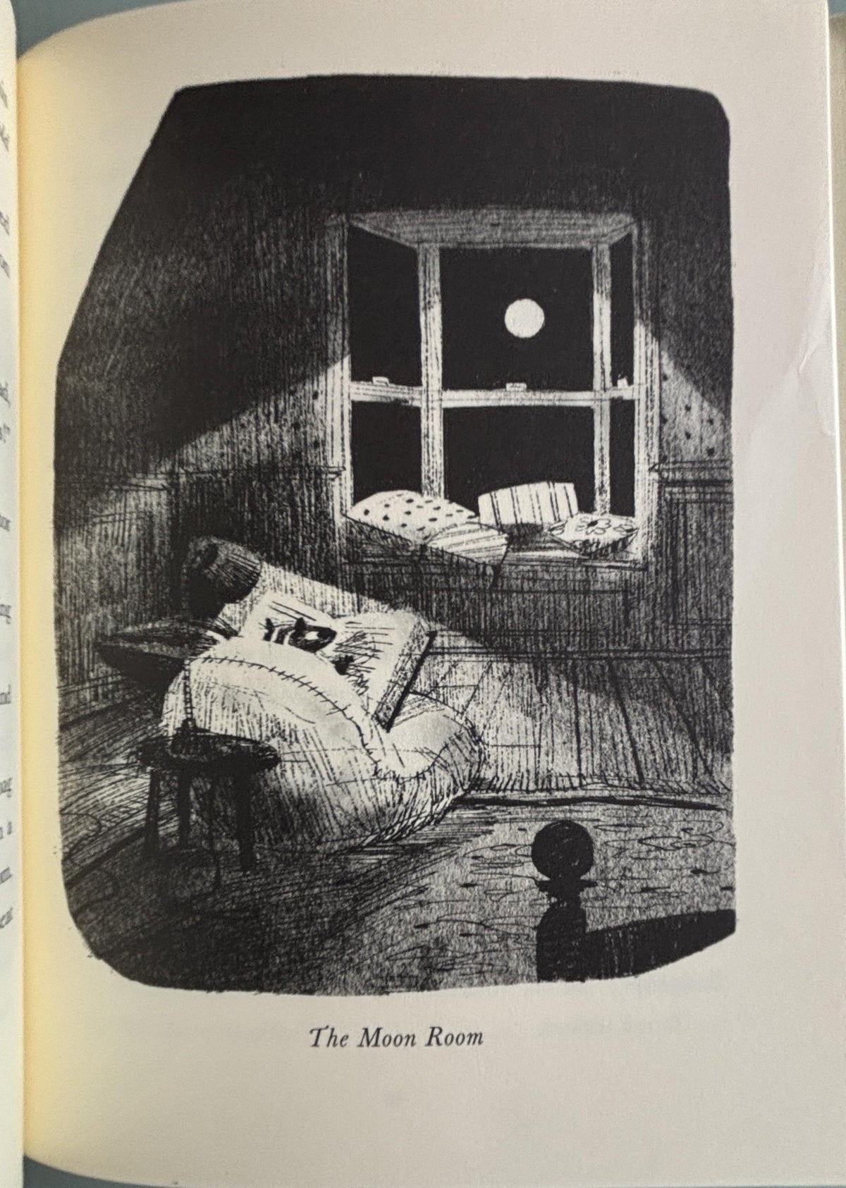 Skunk and Badger:  Amy Timberlake  **  First Edition  **