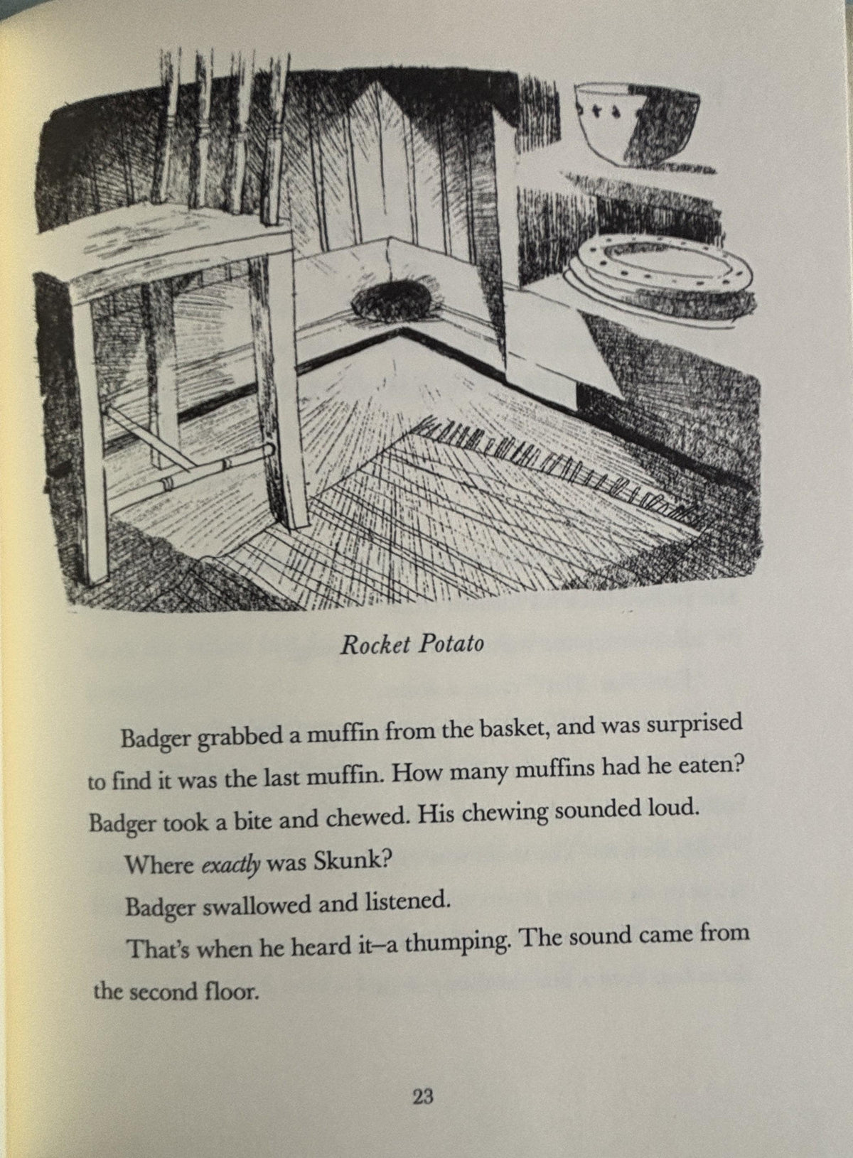 Skunk and Badger:  Amy Timberlake  **  First Edition  **