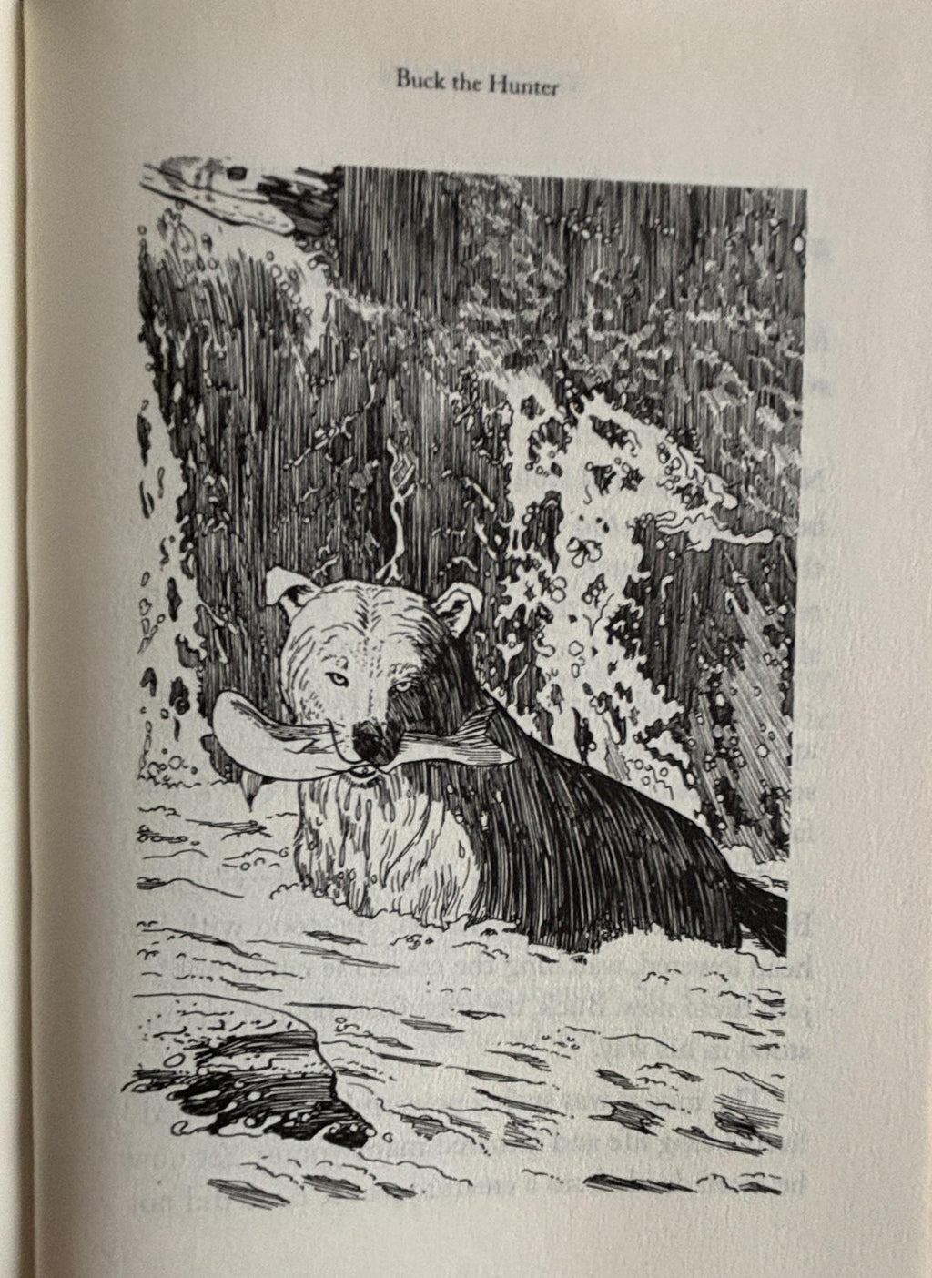 The Call of the Wild:  Jack London  **  FIrst Printing  **