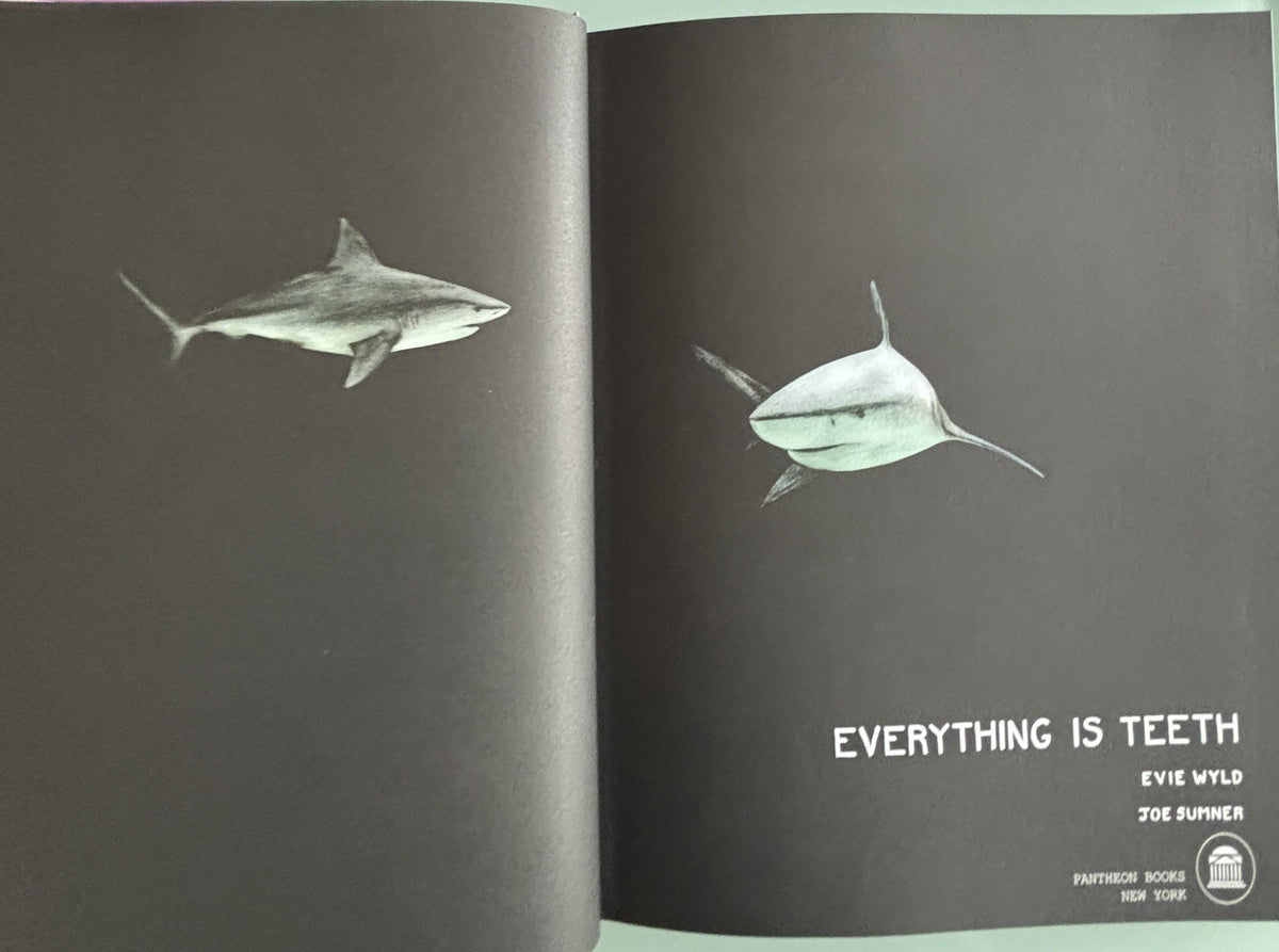 Everything is TEETH:  Evie Wyld  **  FIrst US Edition  **