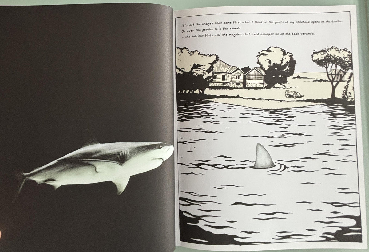Everything is TEETH:  Evie Wyld  **  FIrst US Edition  **