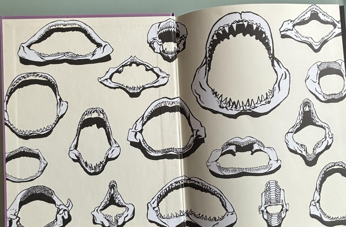 Everything is TEETH:  Evie Wyld  **  FIrst US Edition  **