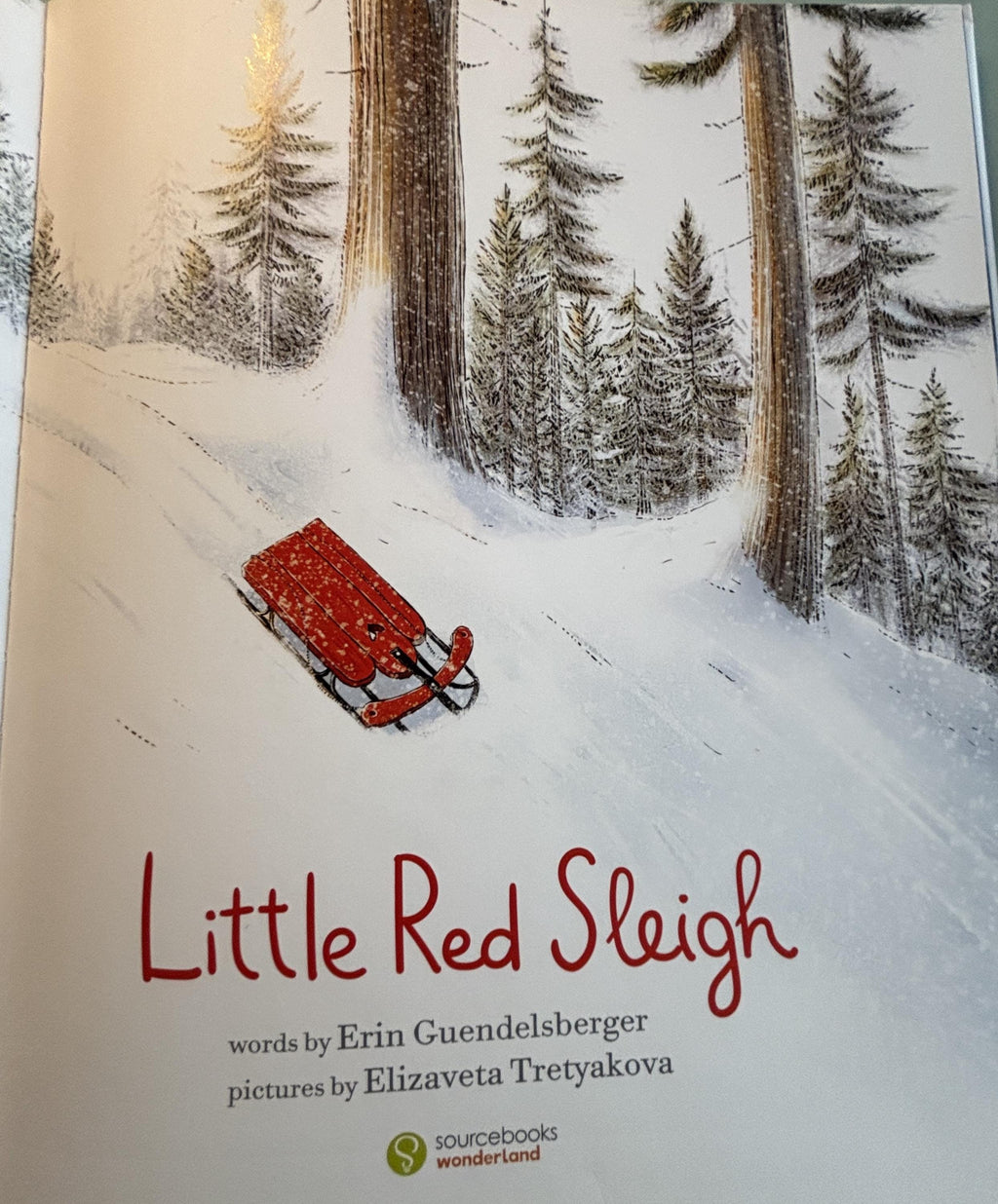 Little Red Sleigh:  Erin Guendelsberger