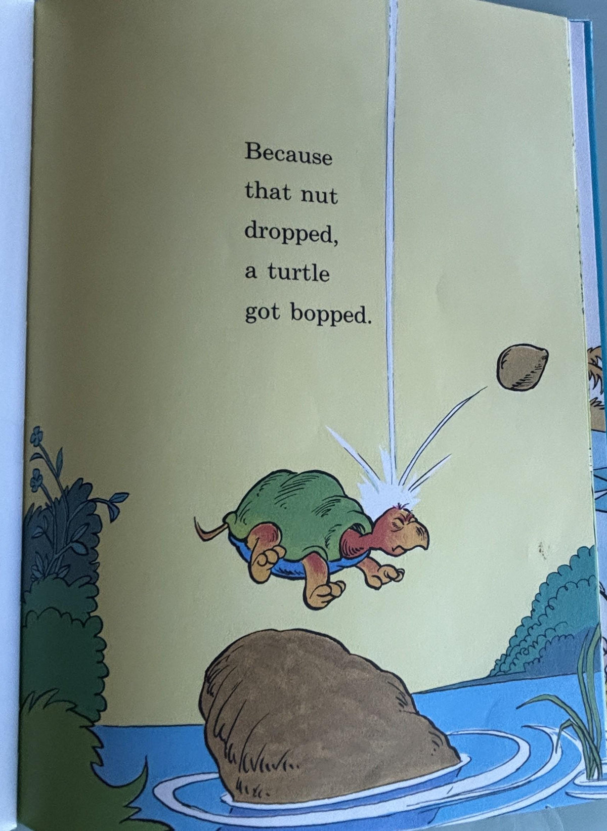 Because a Little Bug went Ka-CHOO!:  Rosetta Stone  **  First Edition  **  1975