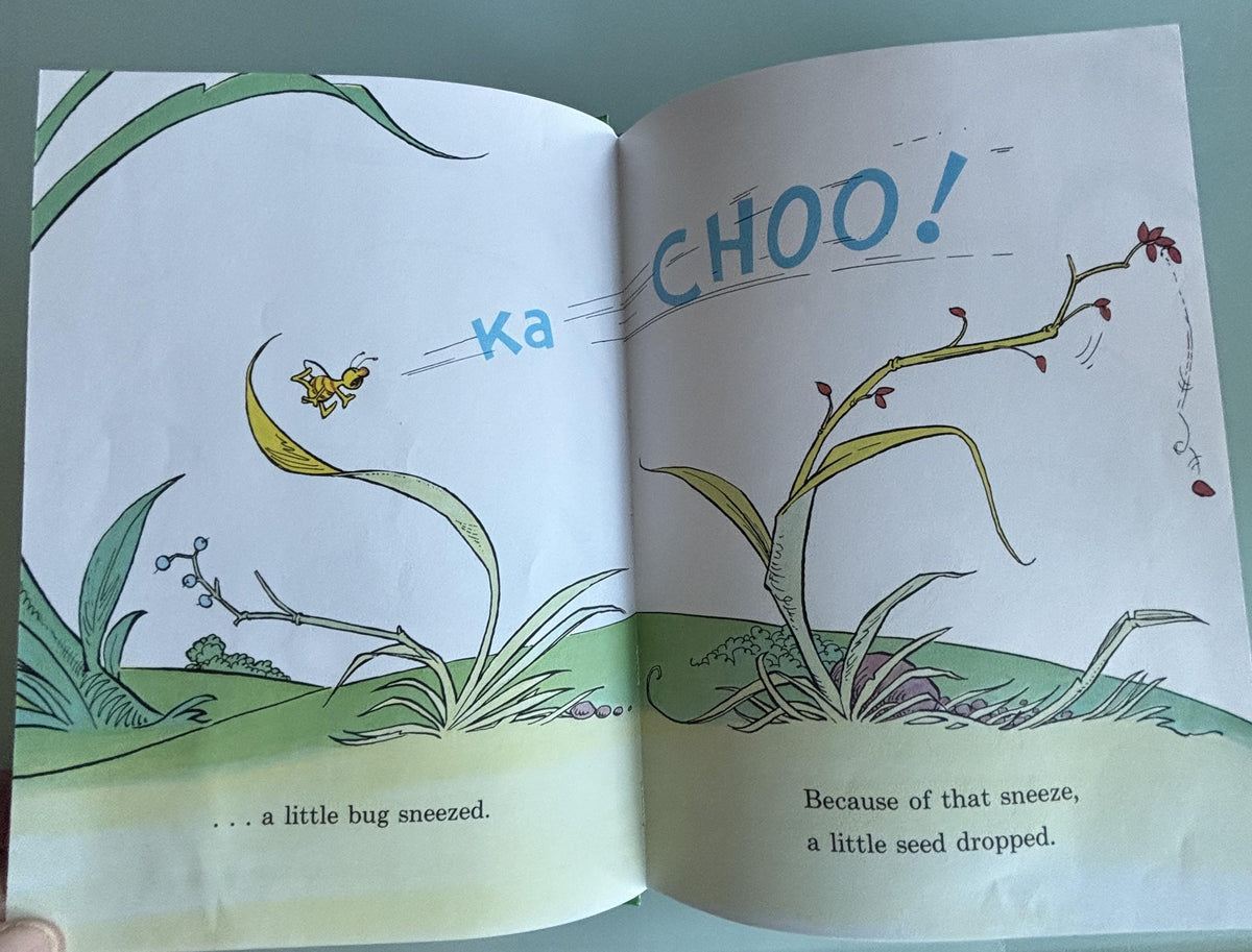 Because a Little Bug went Ka-CHOO!:  Rosetta Stone  **  First Edition  **  1975