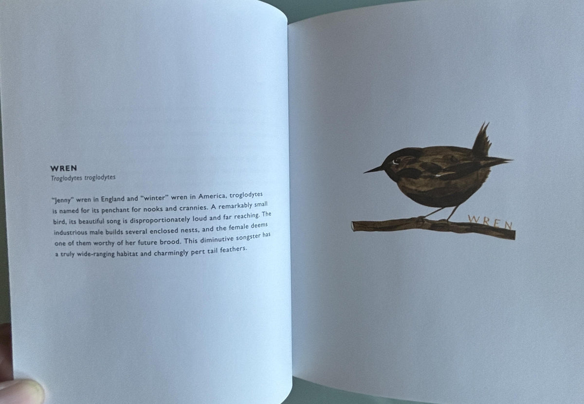 Birds:  Jeffrey Fisher  **  First Edition  **