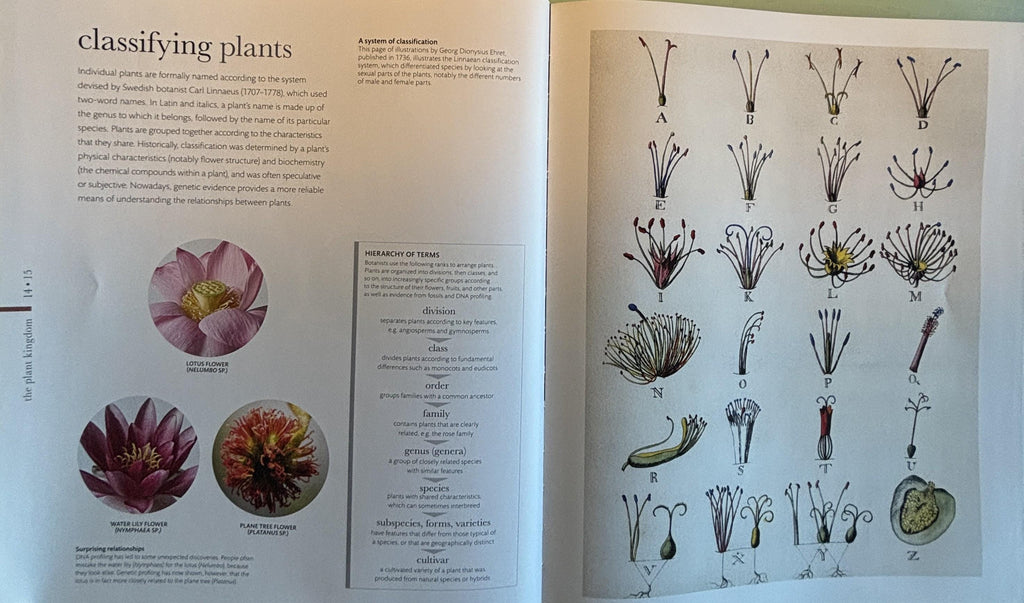 Science of Plants - Inside Their Secret World:  Dorling Kindersley Ltd. (COR) **  First Edition  **