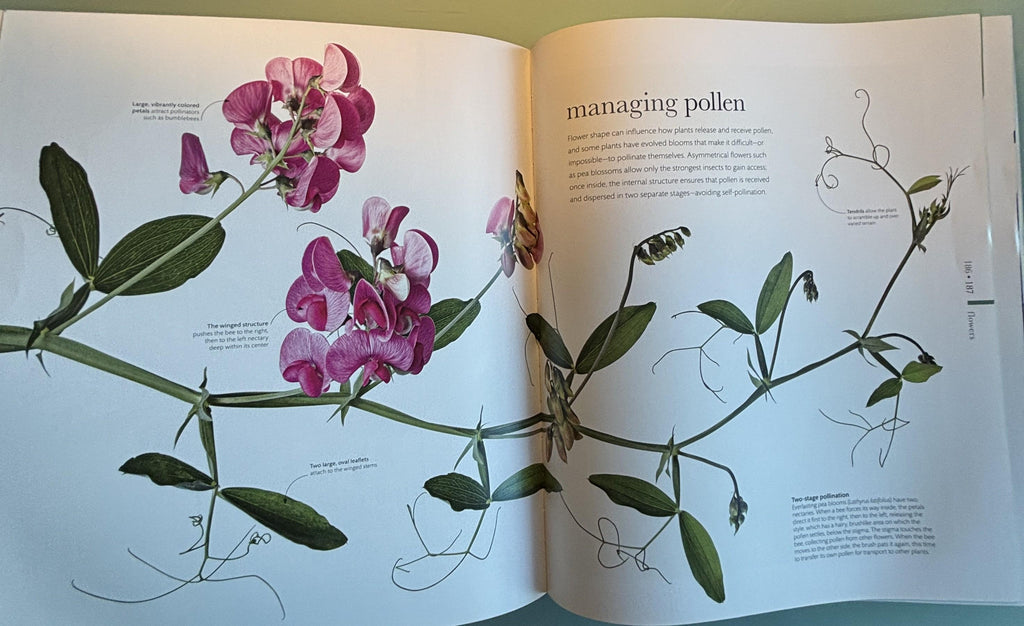 Science of Plants - Inside Their Secret World:  Dorling Kindersley Ltd. (COR) **  First Edition  **
