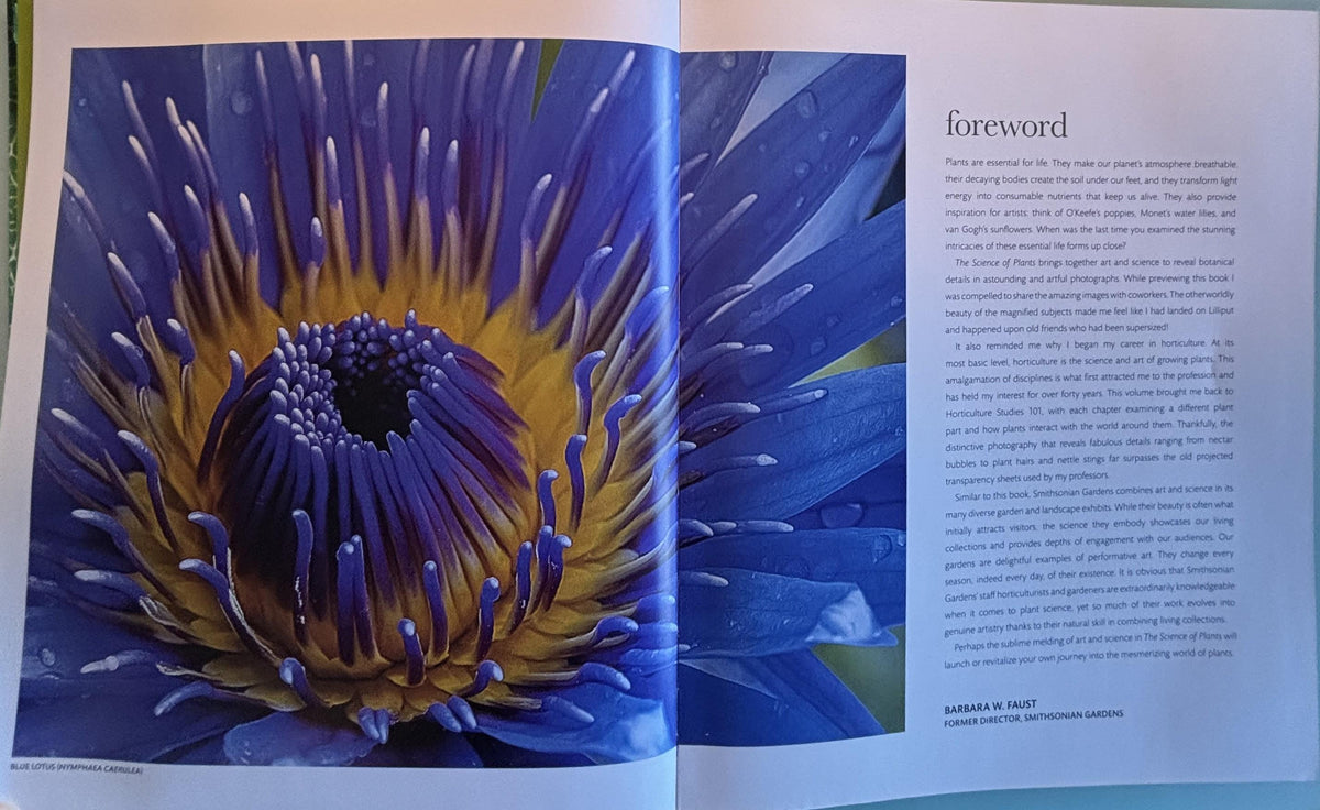 Science of Plants - Inside Their Secret World:  Dorling Kindersley Ltd. (COR) **  First Edition  **