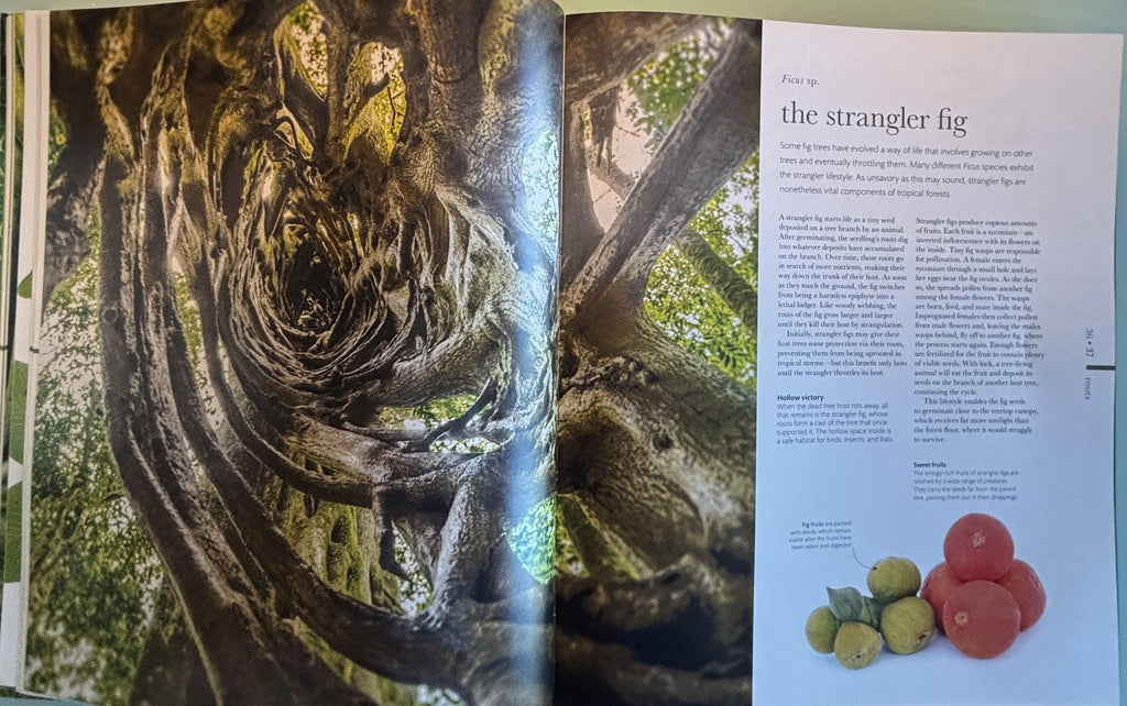Science of Plants - Inside Their Secret World:  Dorling Kindersley Ltd. (COR) **  First Edition  **
