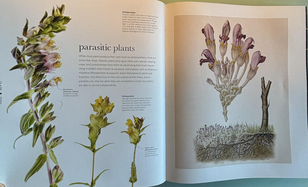 Science of Plants - Inside Their Secret World:  Dorling Kindersley Ltd. (COR) **  First Edition  **