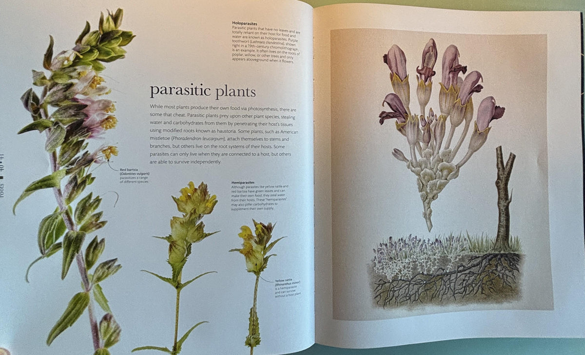 Science of Plants - Inside Their Secret World:  Dorling Kindersley Ltd. (COR) **  First Edition  **