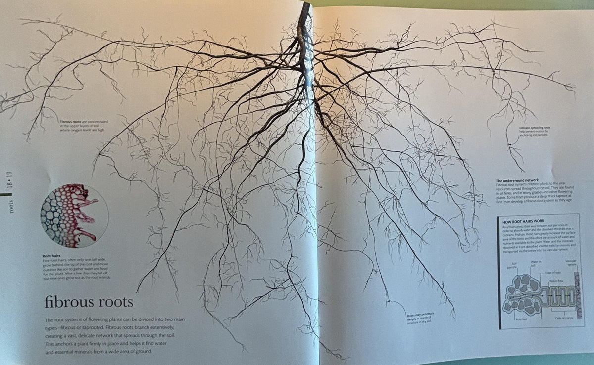 Science of Plants - Inside Their Secret World:  Dorling Kindersley Ltd. (COR) **  First Edition  **