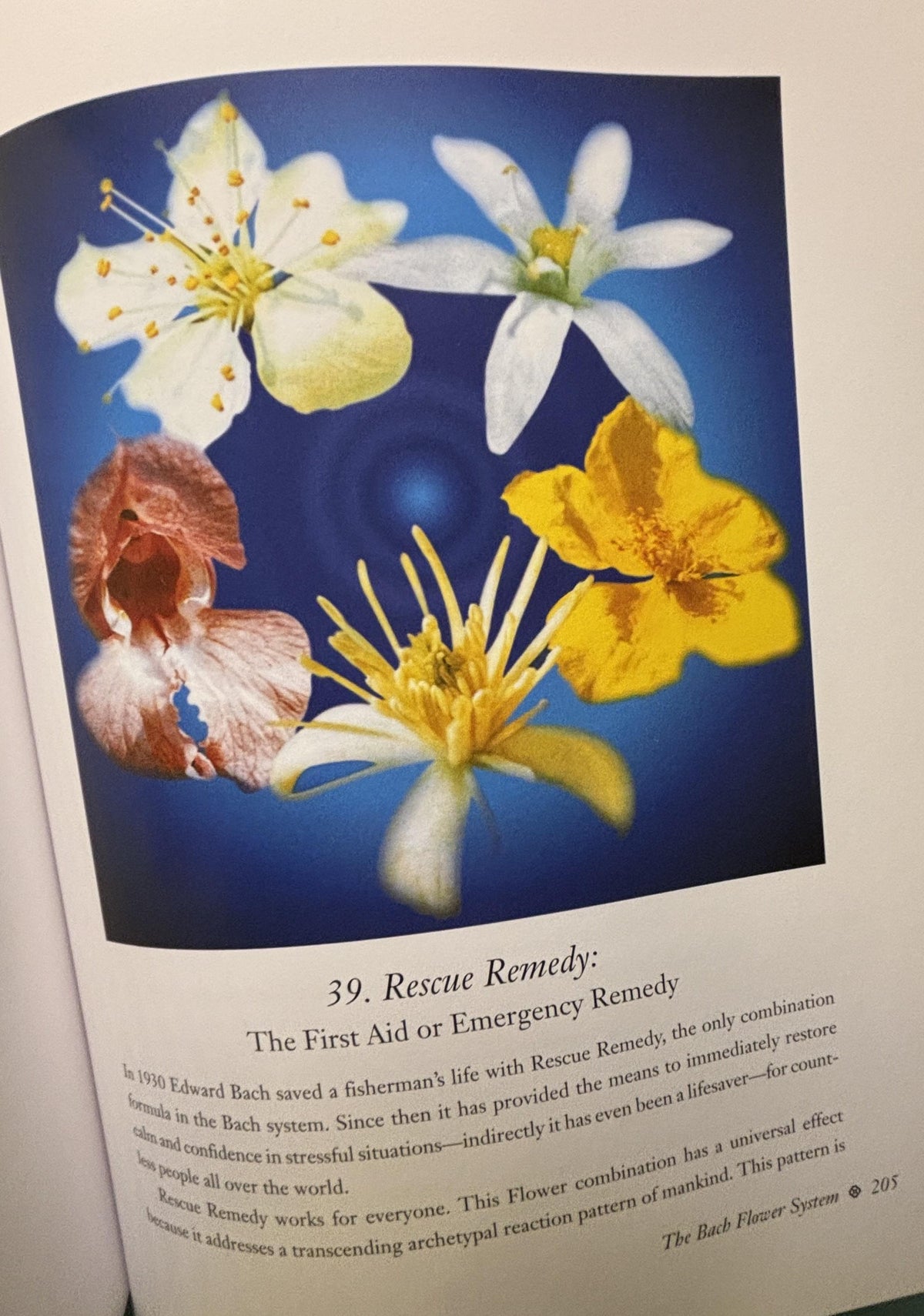 The Encyclopedia of BACH Flower Therapy:  Mechthild Scheffer