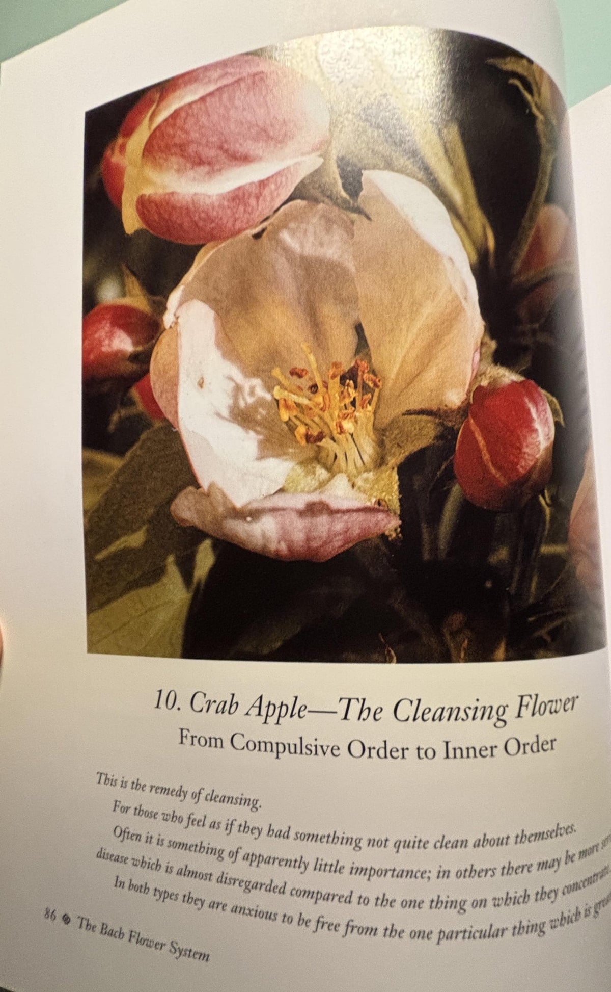 The Encyclopedia of BACH Flower Therapy:  Mechthild Scheffer