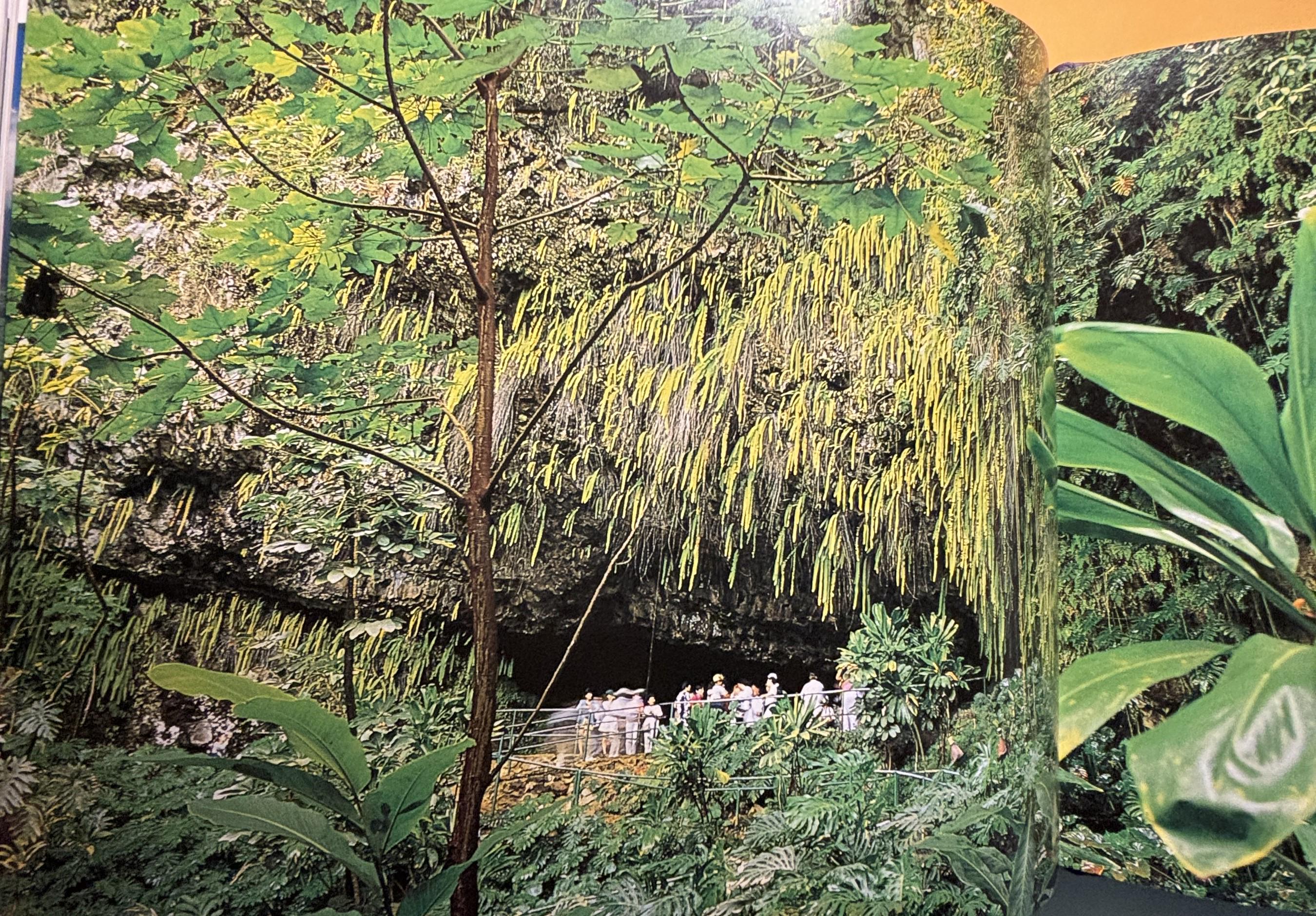 Reflections of KAUAI, The Garden Island:  Tsutsumi, Cheryl Chee  **  First Edition First Printing  **