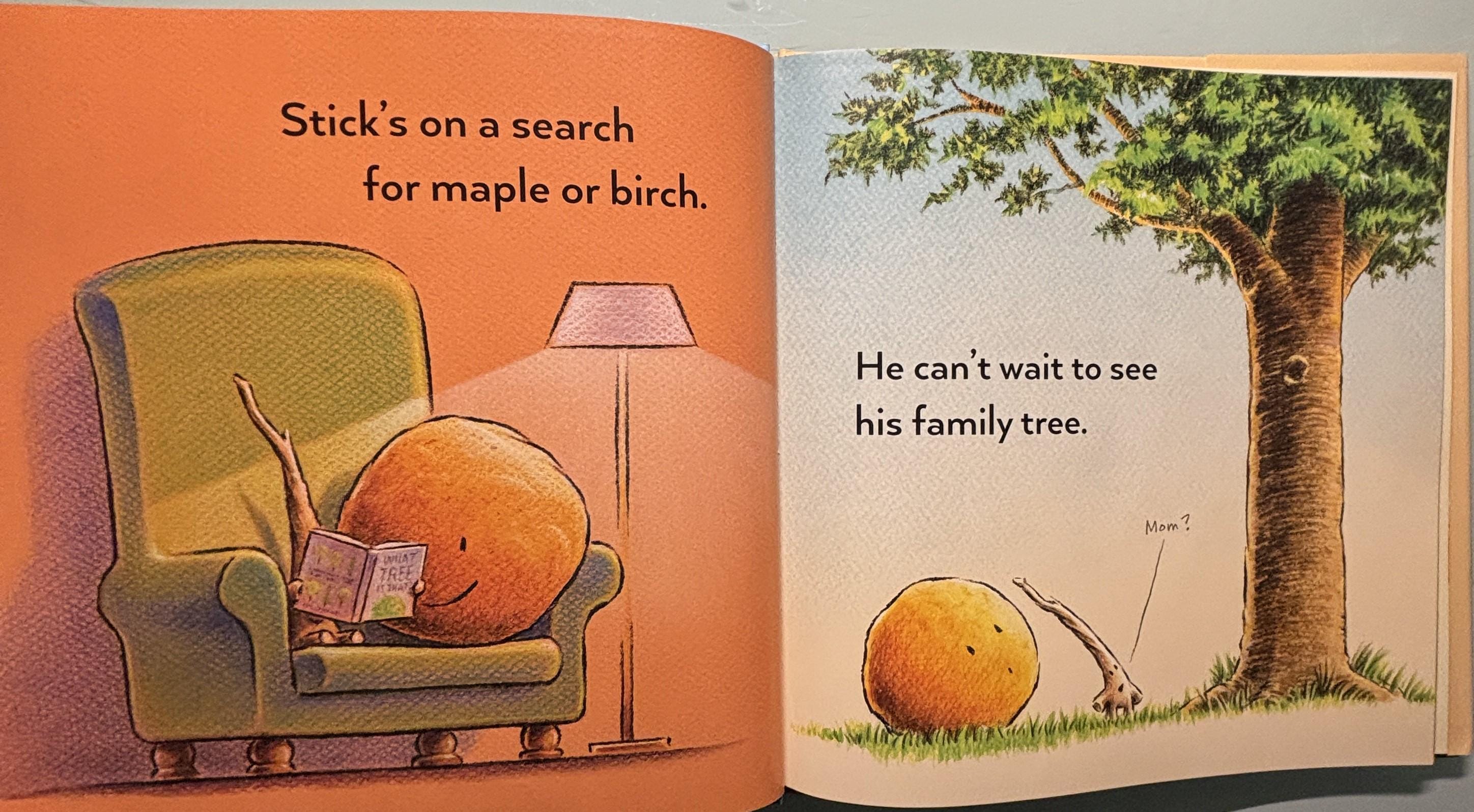 Stick and Stone Hardcover Book, Beth Ferry, Children's Picture Book