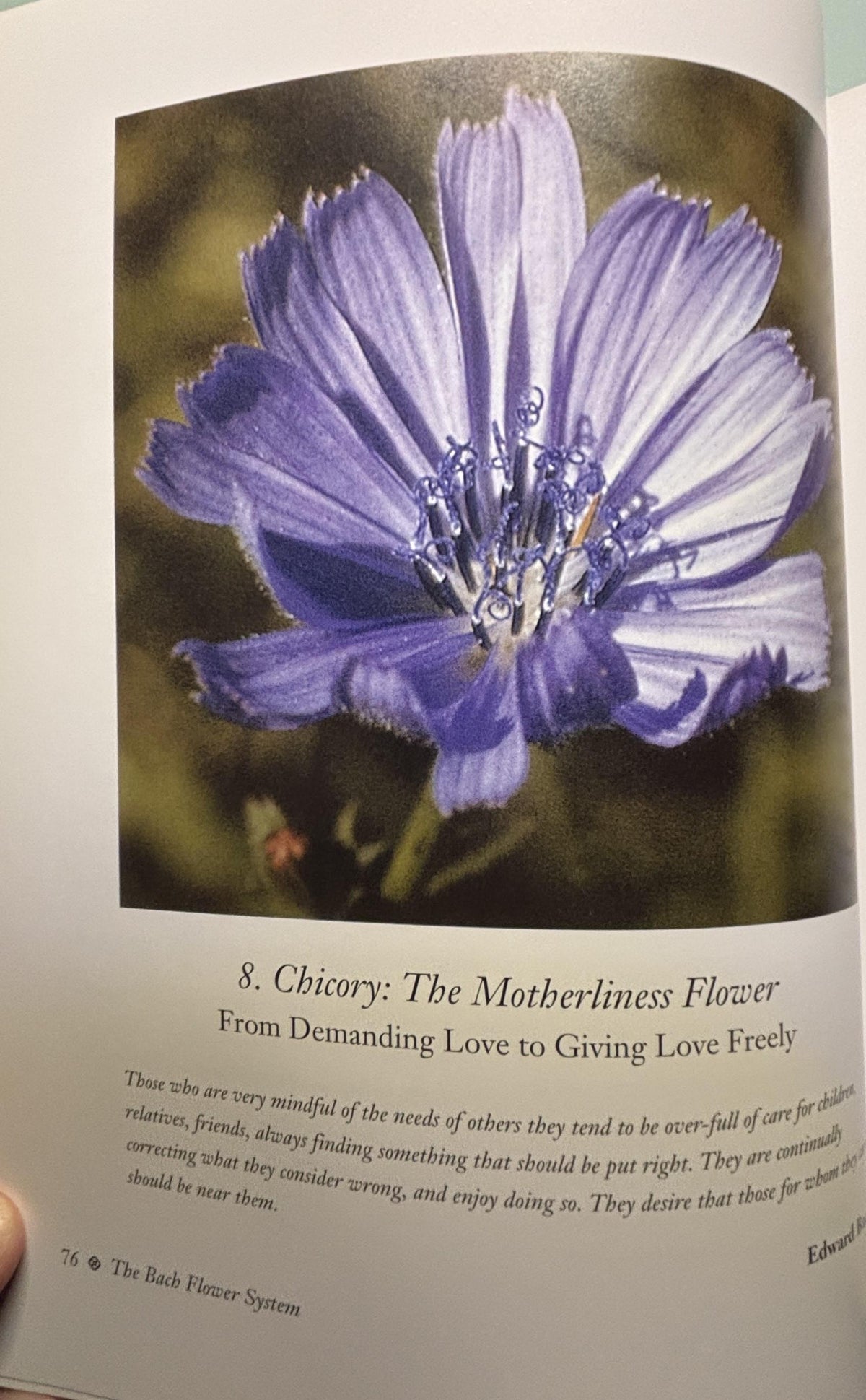 The Encyclopedia of BACH Flower Therapy:  Mechthild Scheffer