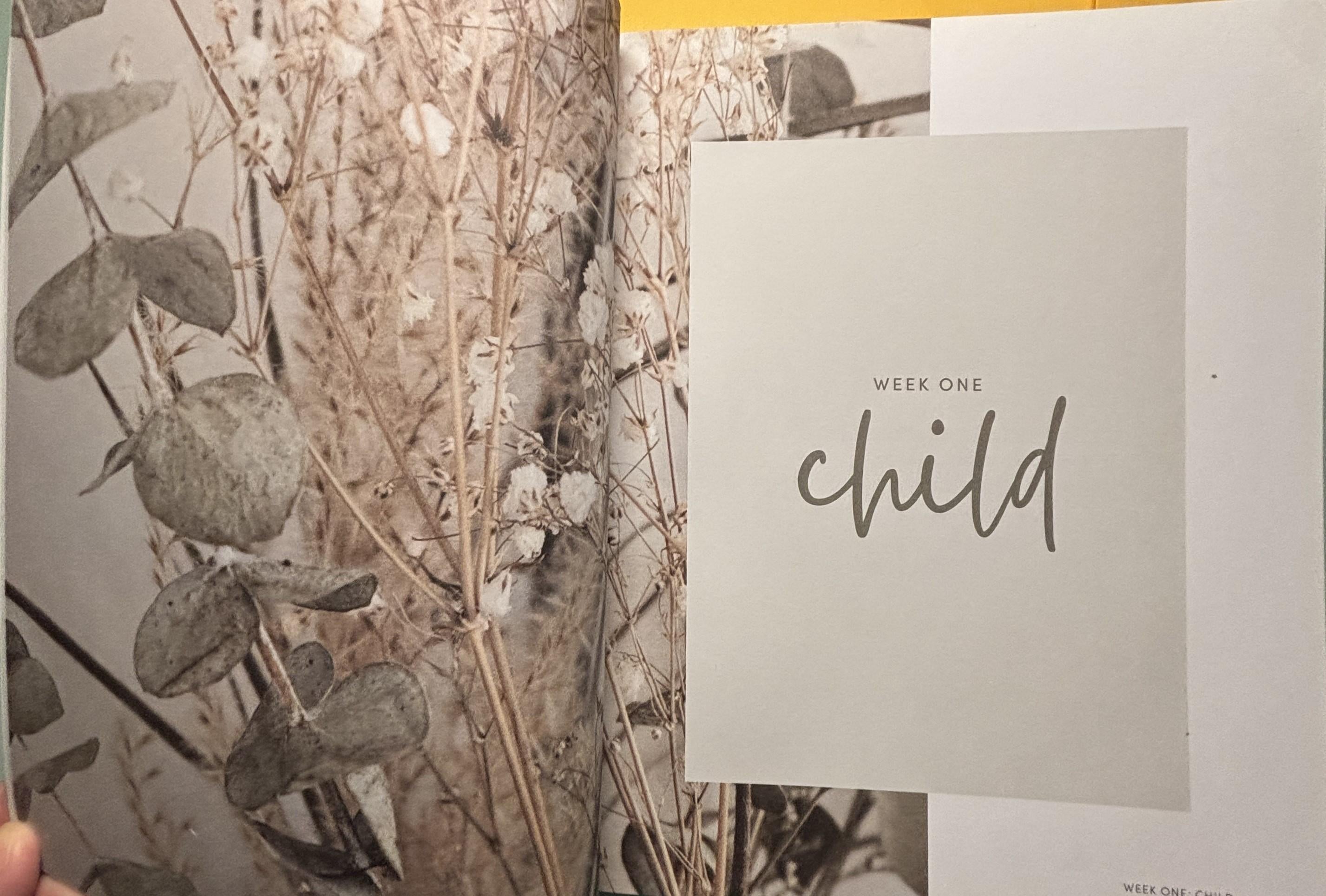 Reflections of KAUAI, The Garden Island:  Tsutsumi, Cheryl Chee  **  First Edition First Printing  **