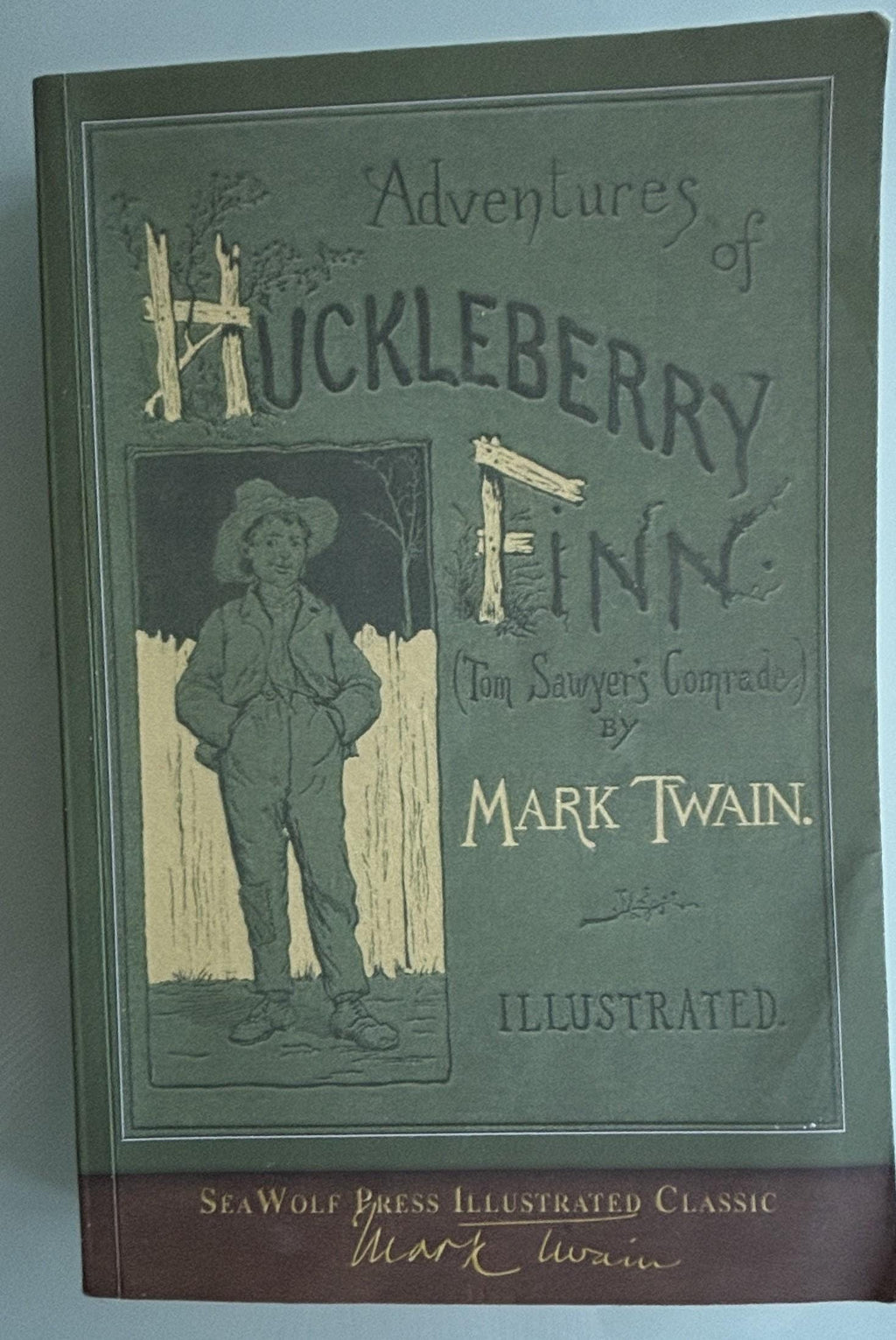 Adventures of Huckleberry Finn:  Mark Twain