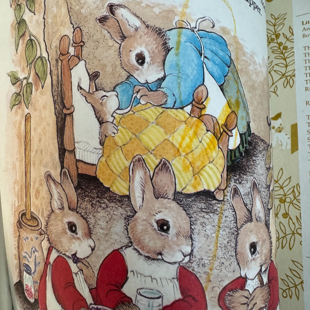 The Tale of Peter Rabbit First Edition Hardcover Book (2002)