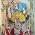The Tale of Peter Rabbit First Edition Hardcover Book (2002)