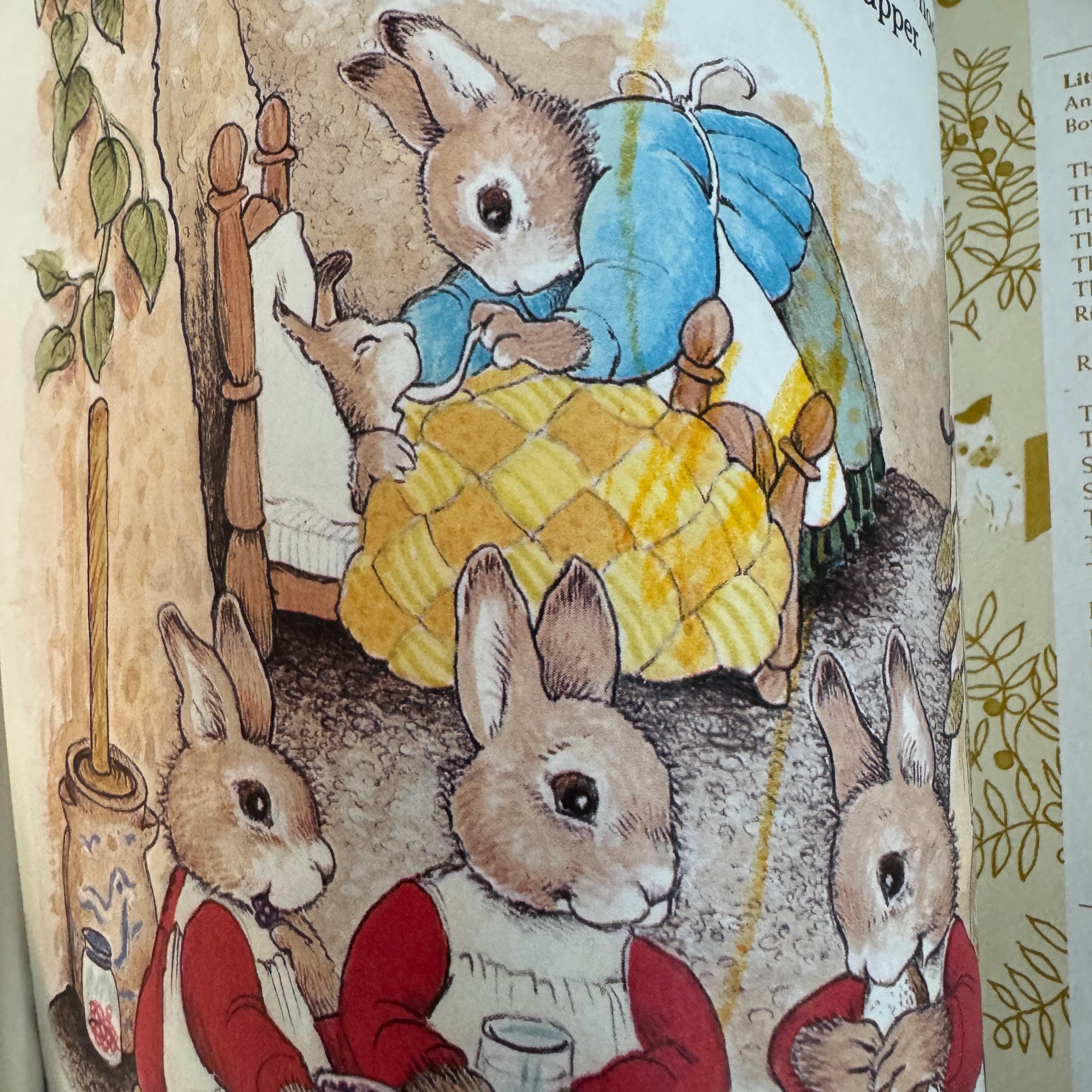 The Tale of Peter Rabbit First Edition Hardcover Book (2002)
