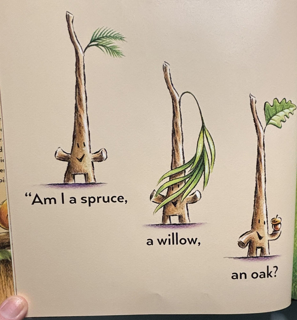 Stick and Stone Hardcover Book, Beth Ferry, Children's Picture Book