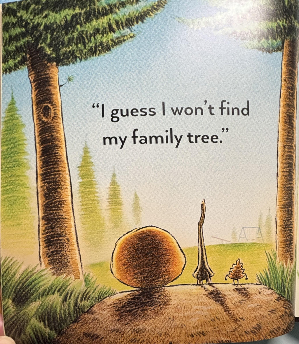 Stick and Stone Hardcover Book, Beth Ferry, Children's Picture Book