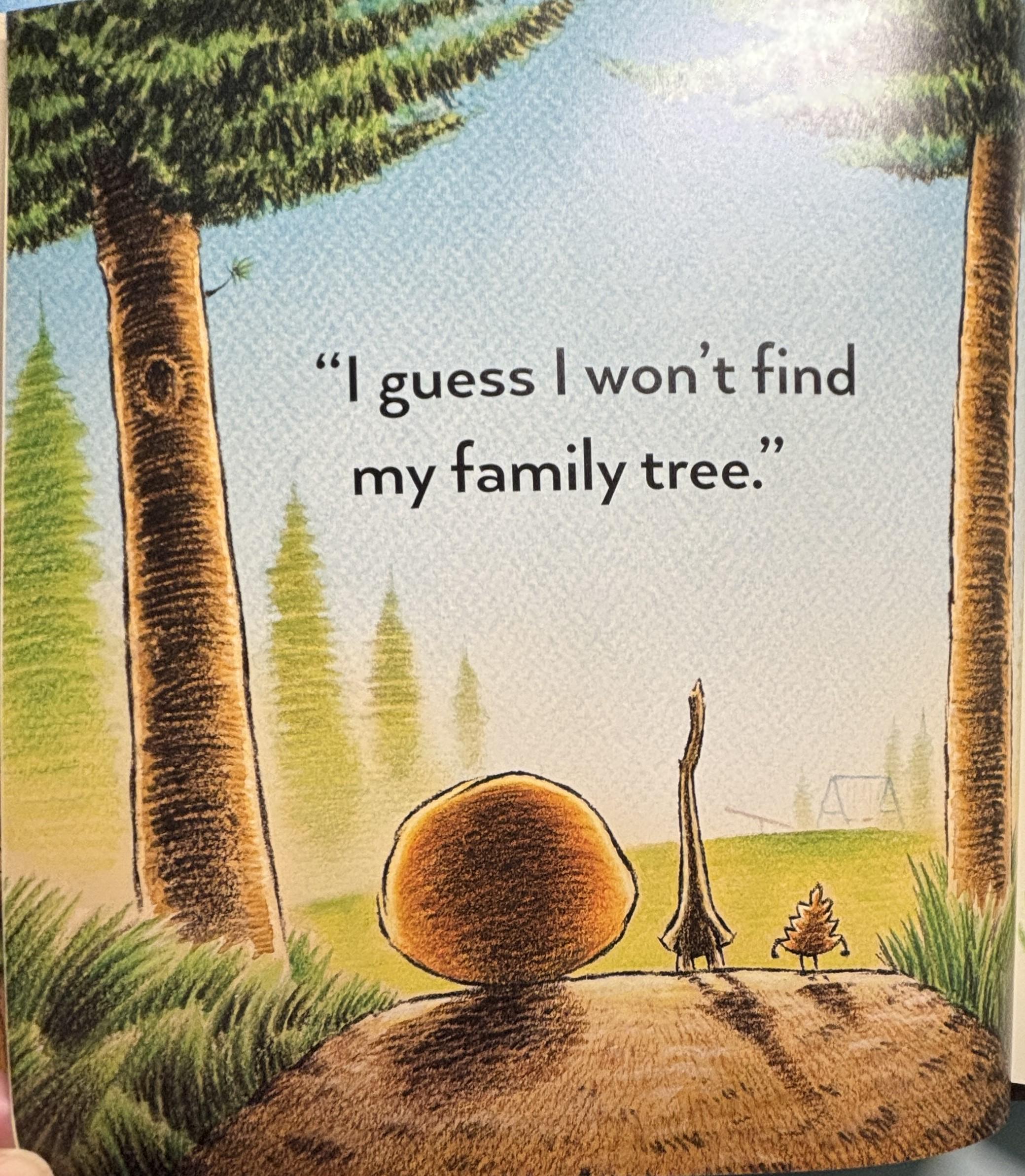 Stick and Stone Hardcover Book, Beth Ferry, Children's Picture Book