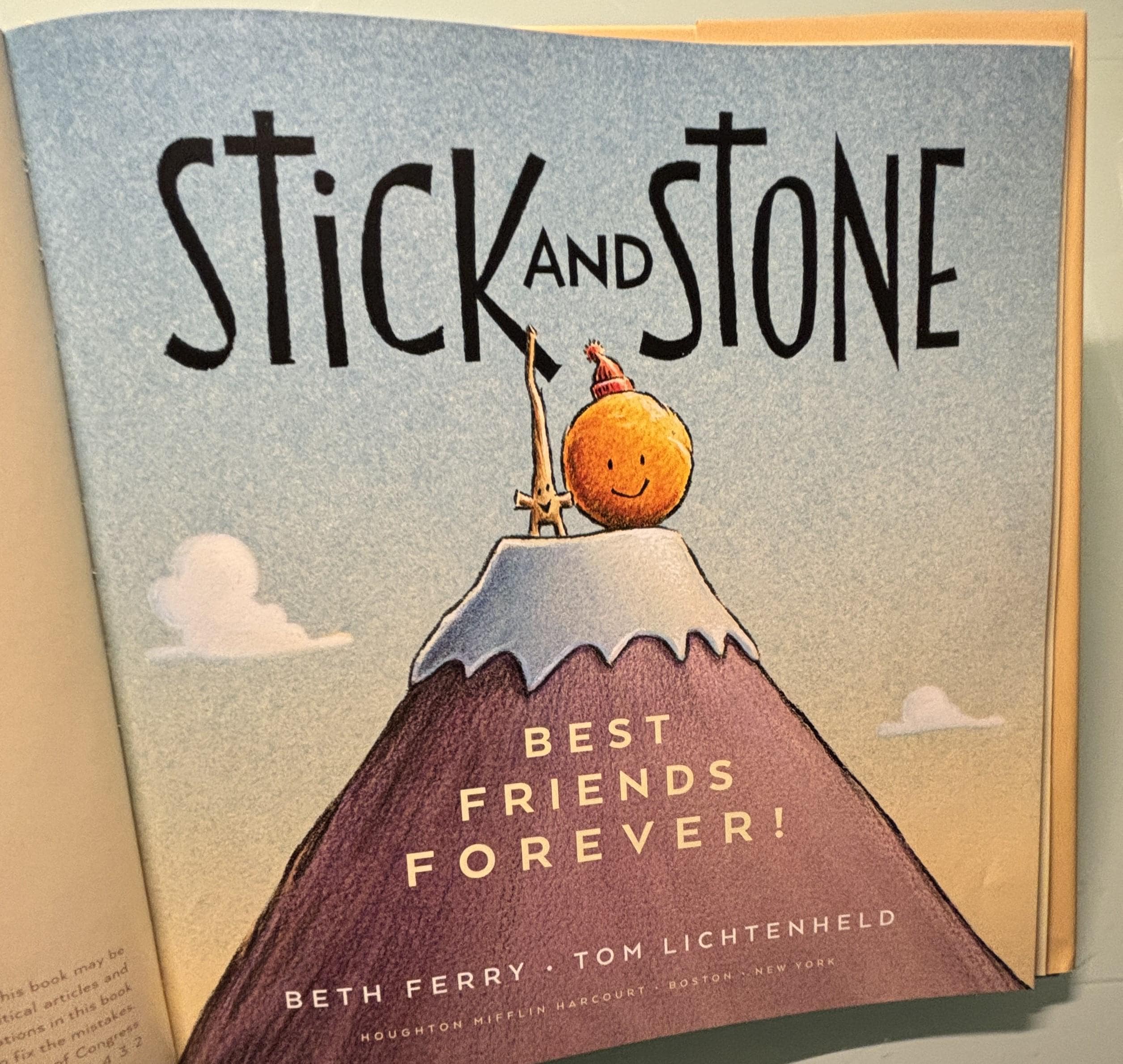Stick and Stone Hardcover Book, Beth Ferry, Children's Picture Book