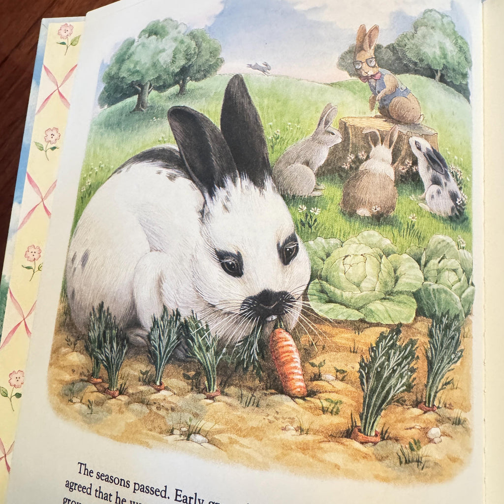1988 The Story of the Easter Bunny:   Sheila Black, Robyn Officer