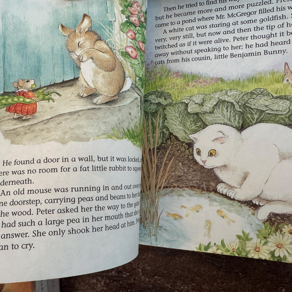 The Tale of Peter Rabbit First Edition Hardcover Book (2002)