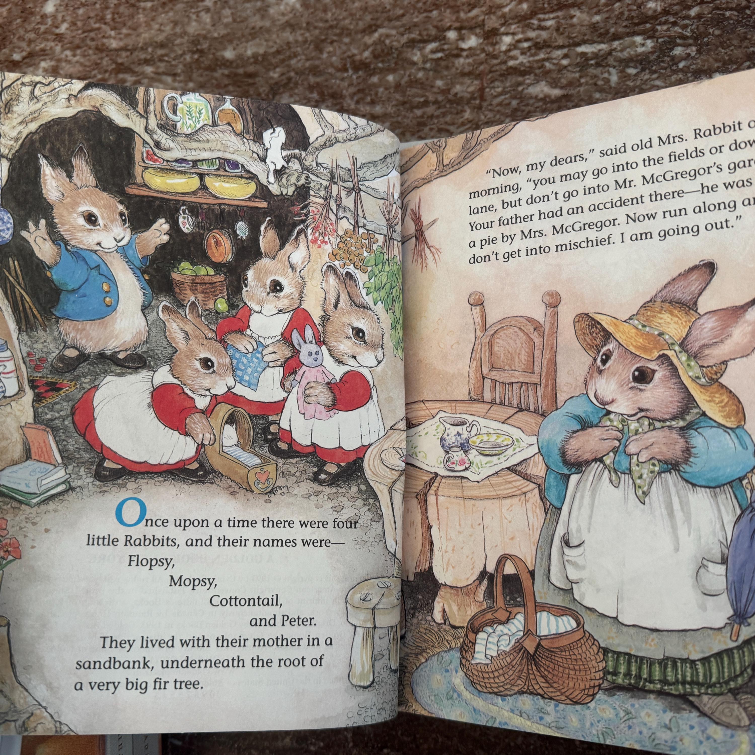 The Tale of Peter Rabbit First Edition Hardcover Book (2002)